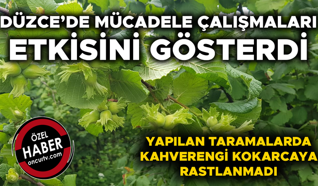 FINDIK ÜRETİCİLERİNE “ÜRÜNÜNÜZÜ ERKEN TOPLAMAYIN” UYARISI