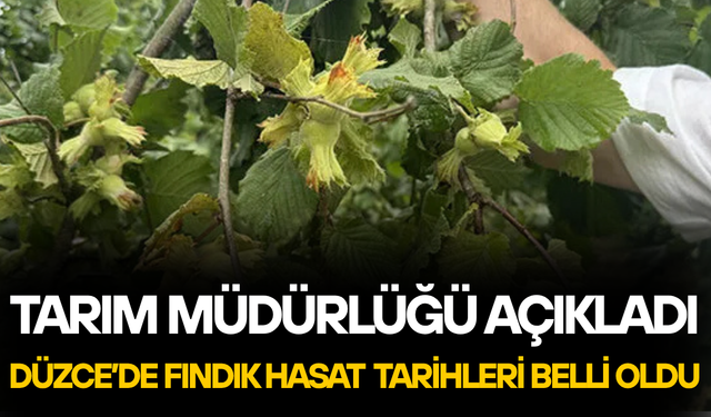 “ERKEN HASAT, RANDIMAN VE KALİTE KAYBINA NEDEN OLUR”