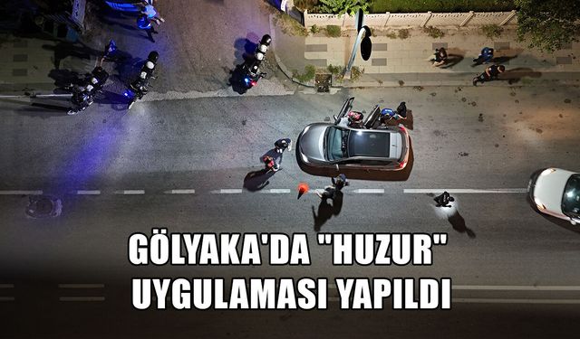 EKİPLER, DEDEKTÖR KÖPEKLE ARAMA YAPTI