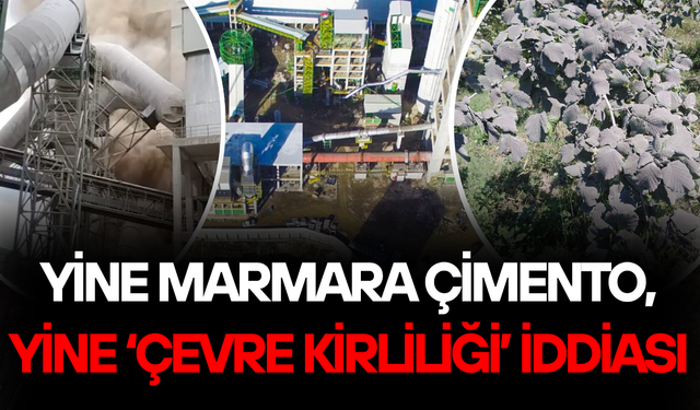FABRİKA BACASINDAN SALINAN TOZLAR FINDIK BAHÇELERİNİ KAPLADI