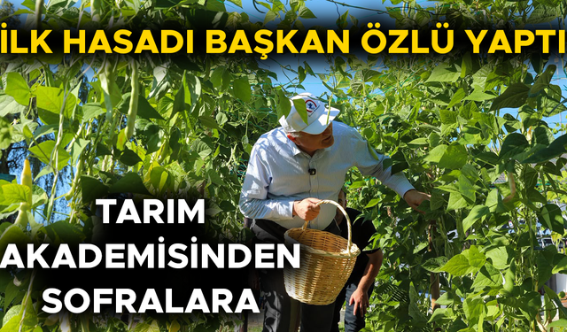 TARIM AKADEMİSİNDE YETİŞİYOR, İHTİYAÇ SAHİPLERİNE ULAŞIYOR