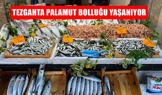 TANE FİYATI 80 TL İLE VATANDAŞIN İLGİSİNİ ÇEKİYOR