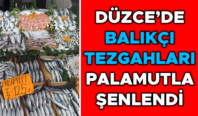 FİYATLARI İSE BALIK SEVERLERİN YÜZÜNÜ GÜLDÜRÜYOR