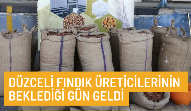 ALIMLAR BAŞLADI. YÜKSEK RANDIMANLI ÜRÜNLERE İLAVE ÖDEME YAPILACAK