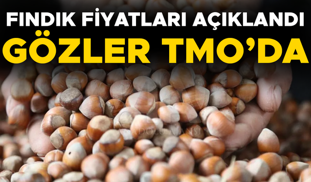 FINDIK ALIMI İÇİN O TARİHTEN İTİBAREN RANDEVU ALINABİLECEK