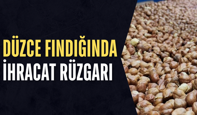 AB'YE 7 AYDA 6 BİN 674 TON ÎÇ FINDIK SATIŞI