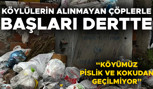 “KOSKOCA KÖYDE 3 TANE ÇÖP KONTEYNIRI VAR”