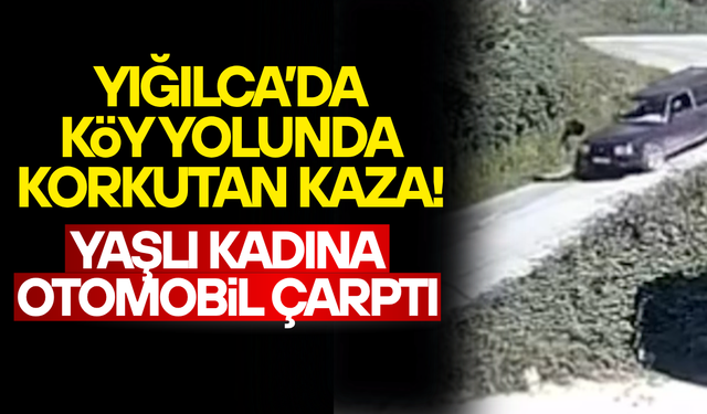 OTOMOBİLİN ÇARPTIĞI KADIN YOL KENARINA SAVRULDU