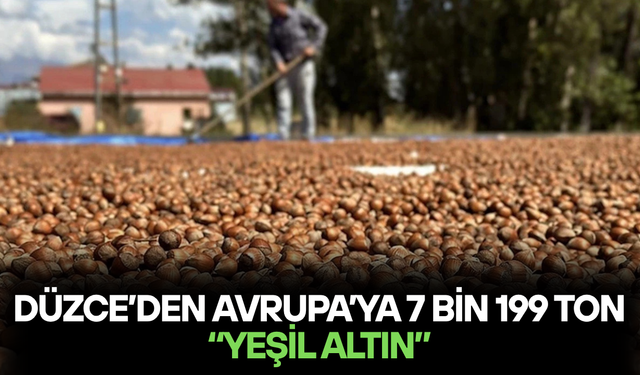 FINDIK İHRACATINDA AVRUPA BEREKETİ