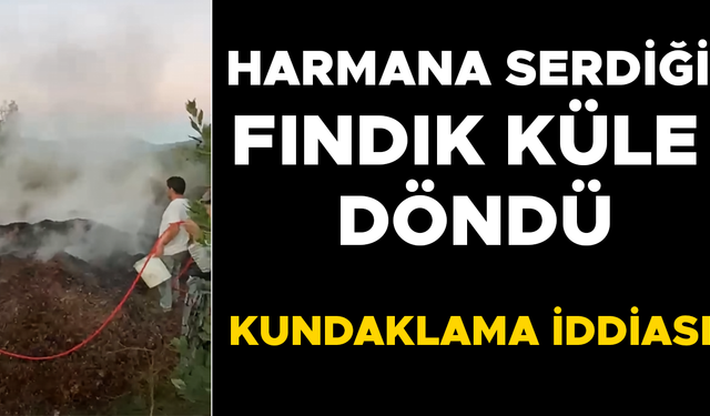 2 BUÇUK TON FINDIK GÖZLERİNİN ÖNÜNDE YANDI
