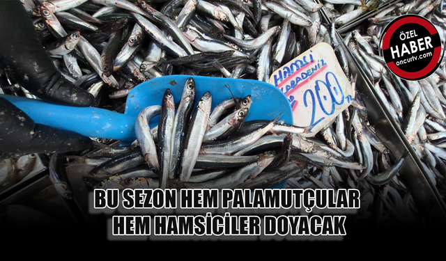 BALIK FİYATLARINI ZAMLAR DEĞİL DENİZDEN ÇIKIŞI BELİRLİYOR