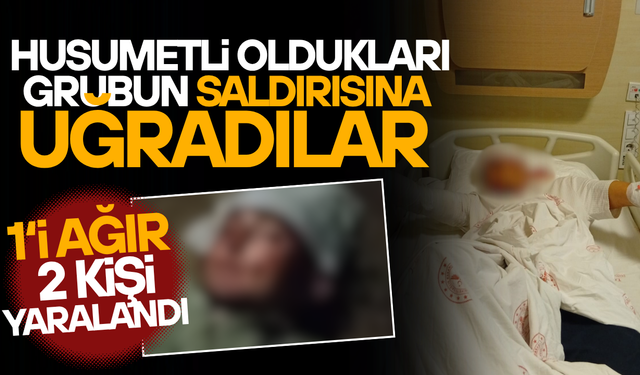 KÖY MUHTARI VE ÇOK SAYIDA KİŞİ GÖZALTINA ALINDI