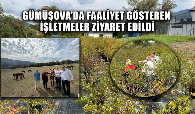 KIRSAL EKONOMİ GÜÇLENDİRİLECEK