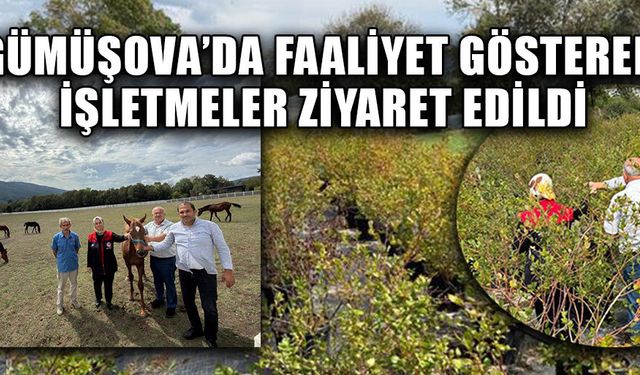 KIRSAL EKONOMİ GÜÇLENDİRİLECEK