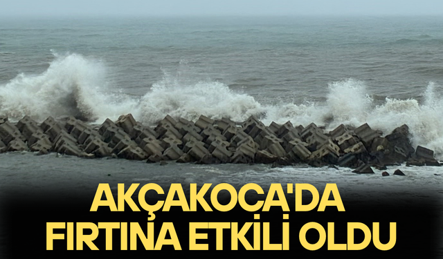 DALGALAR SAHİLİ DÖVDÜ