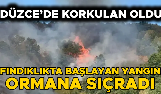 TÜM EKİPLER SEFERBER EDİLDİ…