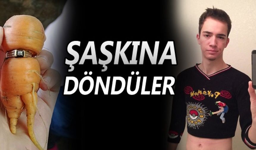 ŞAŞKINA DÖNDÜLER