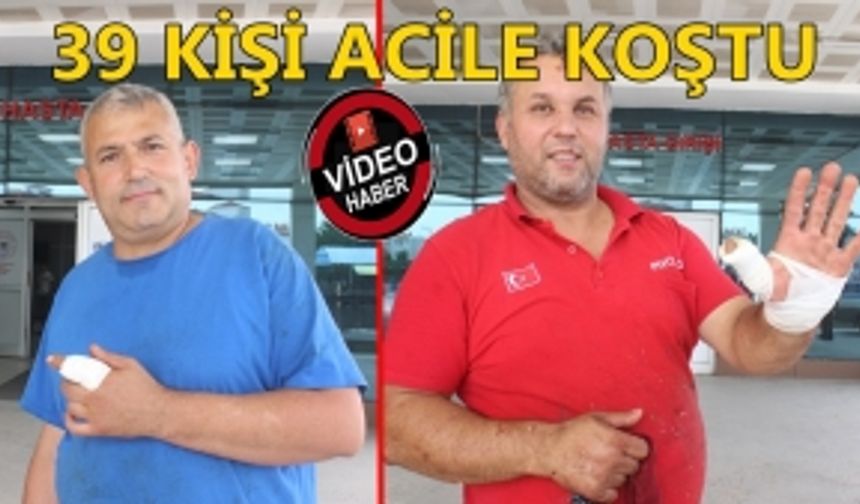 39 KİŞİ ACİLE KOŞTU