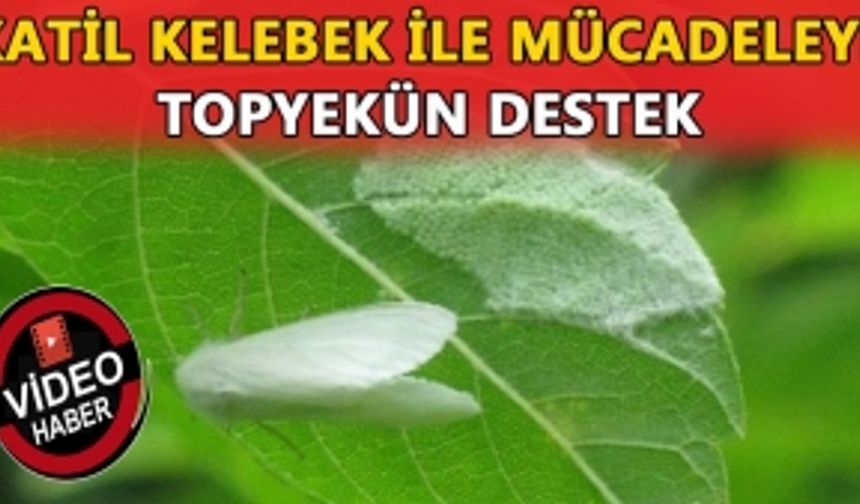 İLÇE BELEDİYELERİ VE TÜM KURUMLAR SEFERBER OLDU