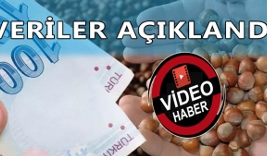 VERİLER AÇIKLANDI: FINDIK ÜRETİCİLERİNE MİLYONLUK DESTEK