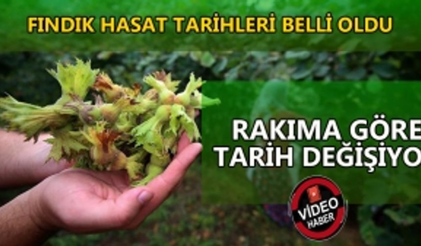 BAŞLANGIÇ TARİHİ 13 AĞUSTOS