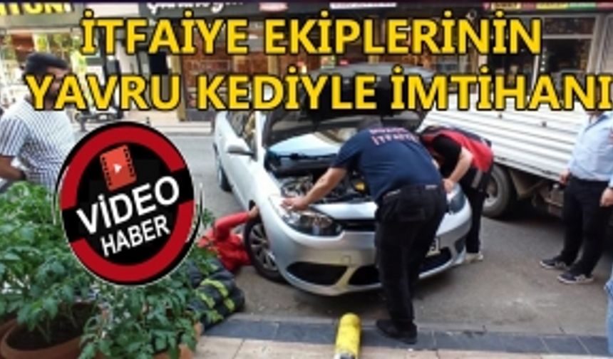 İTFAİYE EKİPLERİNİN YAVRU KEDİYLE İMTİHANI