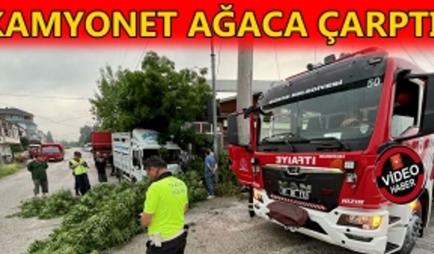 KAMYONET AĞACA ÇARPTI: 2 KİŞİ YARALANDI