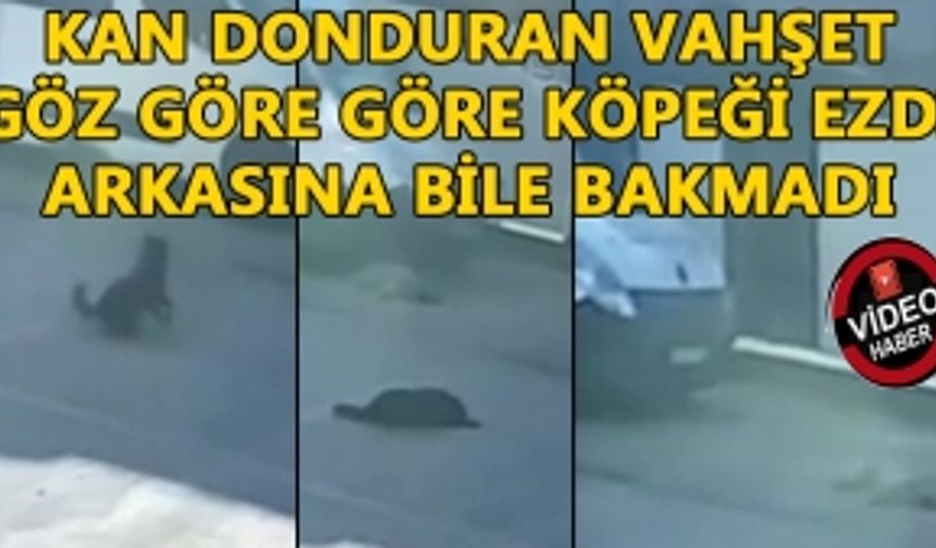 O ANLAR GÜVENLİK KAMERASINA YANSIDI