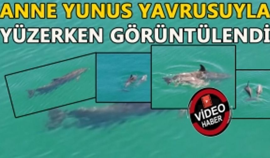 AKÇAKOCA’DA NADİR GÖRÜLEN ANLAR KAMERALARA YANSIDI