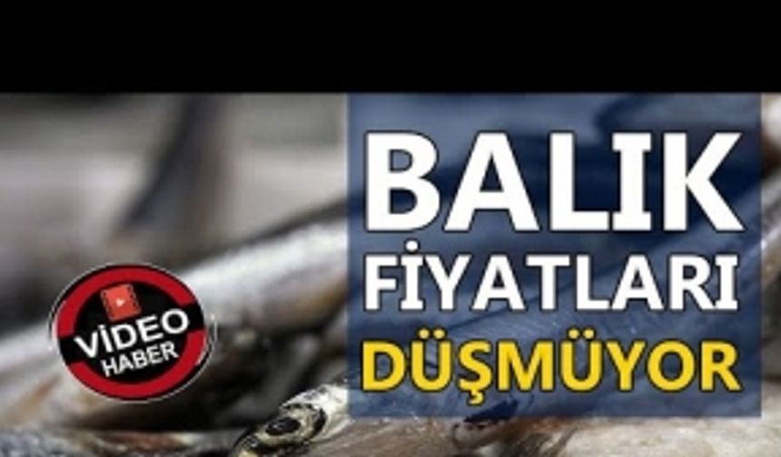 BALIKÇILAR AÇILAMIYOR, FİYATLAR TIRMANIYOR