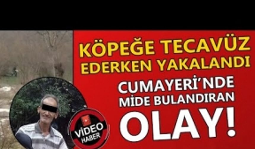 CUMAYERİ'NDE MİDE BULANDIRAN OLAY!