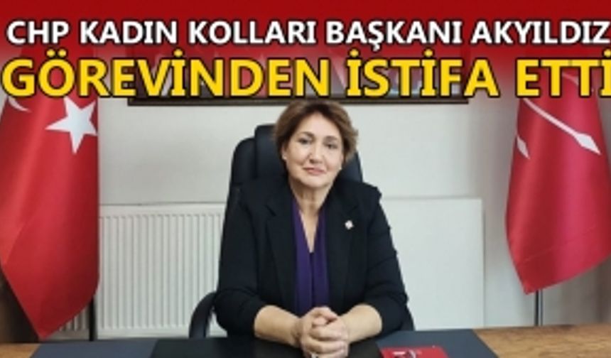 İSTİFA GEREKÇESİ PARTİ İÇİNDEKİ KADINA ŞİDDET OLAYI