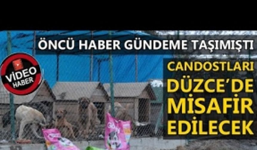 GEREDE’DEN GELEN GÖRÜNTÜLER YÜREKLERİ SIZLATMIŞTI