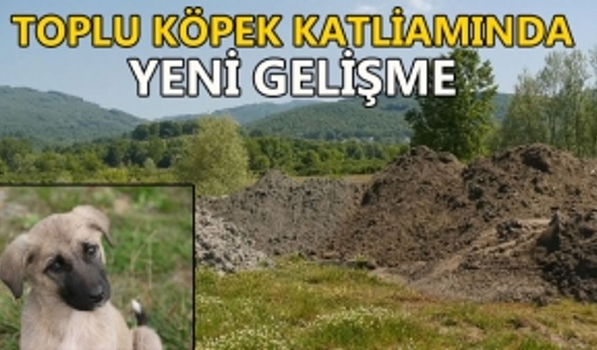 BAŞSAVCILIK SORUŞTURMA BAŞLATTI