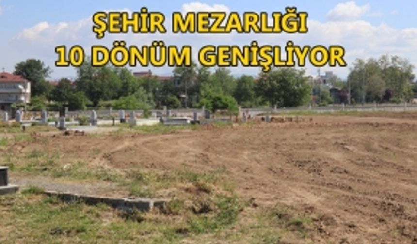 DÜZCE BELEDİYESİ: TEHLİKELİ AĞAÇLAR KALDIRILDI