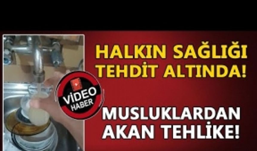 MUSLUKLARDAN AKAN TEHLİKE: DÜZCE’DE GENEL TARAMA ŞART