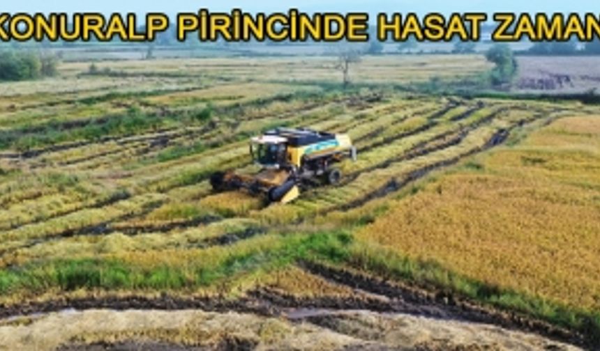 HEDEF 1500 TON PİRİNÇ