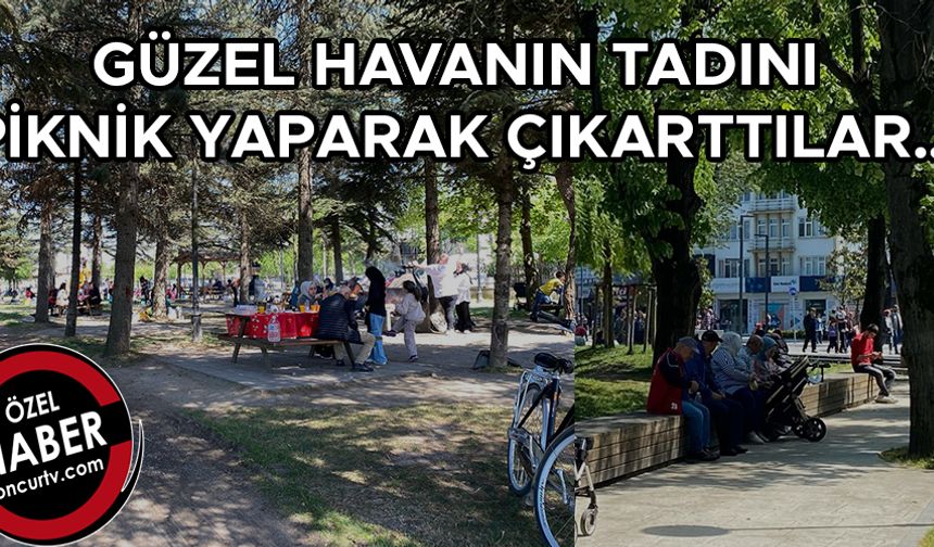 GÜZEL HAVANIN TADINI PİKNİK YAPARAK ÇIKARTTILAR…