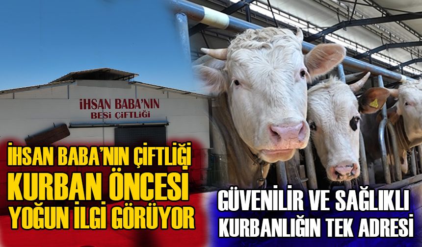 İHSAN BABA’NIN ÇİFTLİĞİ KURBAN ÖNCESİ YOĞUN İLGİ GÖRÜYOR