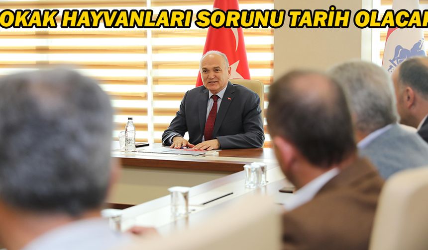 SOKAK HAYVANLARI SORUNU TARİH OLACAK