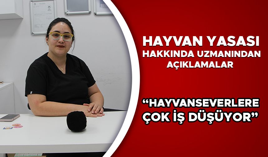 “HAYVANSEVERLERE ÇOK İŞ DÜŞÜYOR”