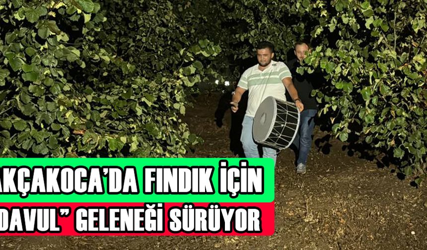 AKÇAKOCA’DA FINDIK İÇİN “DAVUL” GELENEĞİ SÜRÜYOR