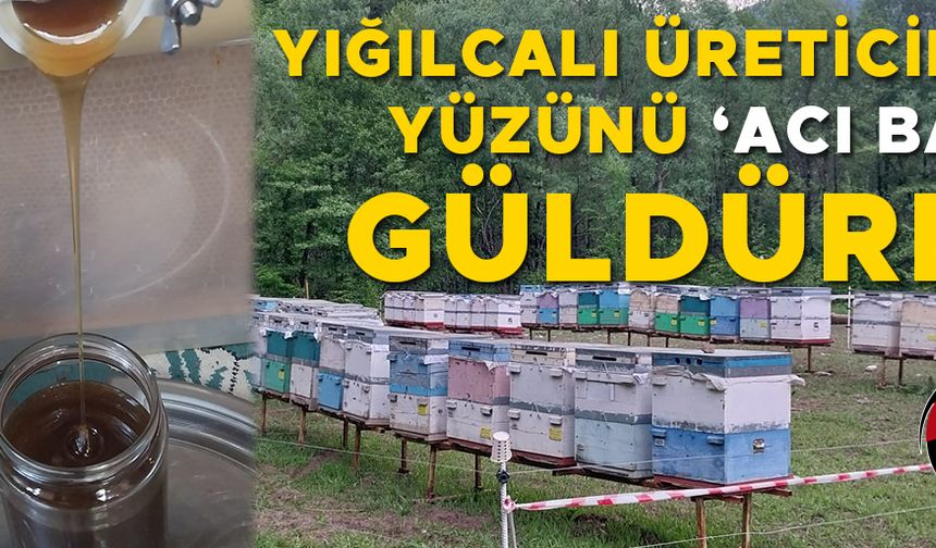 KESTANE BALINDA REKOLTE DÜŞÜK…