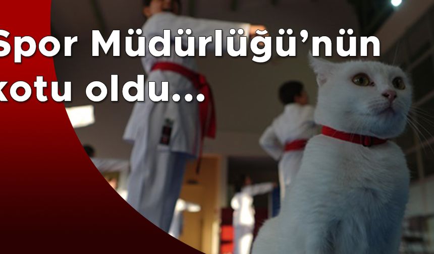 SEVİMLİ KARATE CAT ANTREMANLARDA SPORCULARI YALNIZ BIRAKMIYOR