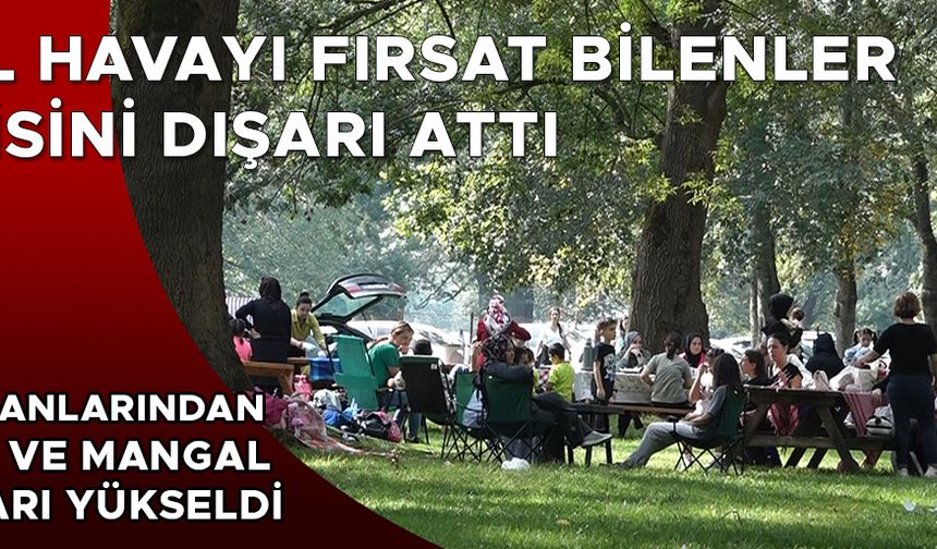 GÖLYAKA KÜLTÜR PARK VATANDAŞLARIN AKININA UĞRADI