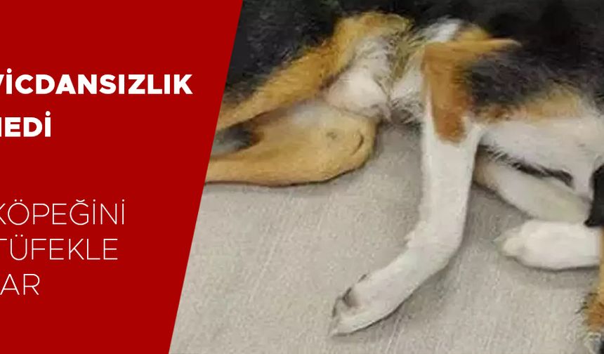 DÜZCE VALİLİĞİ AÇIKLAMA YAPTI…