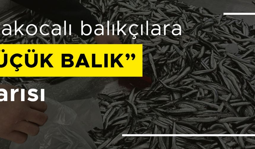 “SÜRDÜRÜLEBİLİR BALIKÇILIK İÇİN KÜÇÜK BALIKLARI AVLAMAYIN”