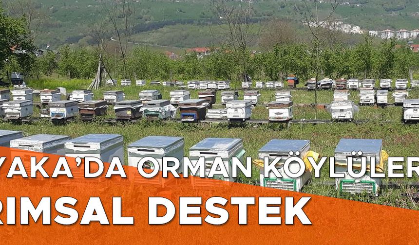 7 MİLYON 205 BİN TL KREDİ DESTEĞİ VERİLDİ