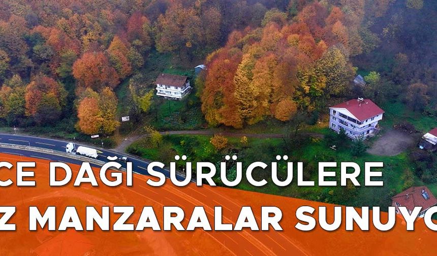 SÜRÜCÜLER İÇİN DOĞAYLA İÇ İÇE BİR MOLA