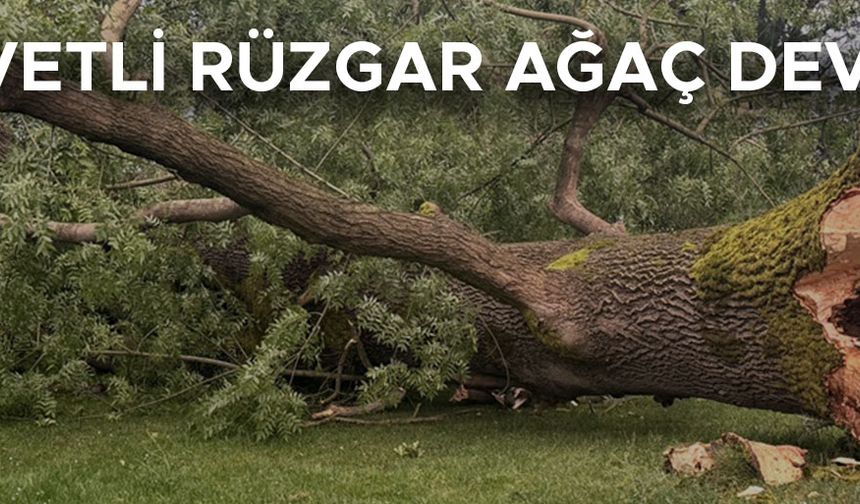 YAĞMUR ANİDEN BASTIRINCA…